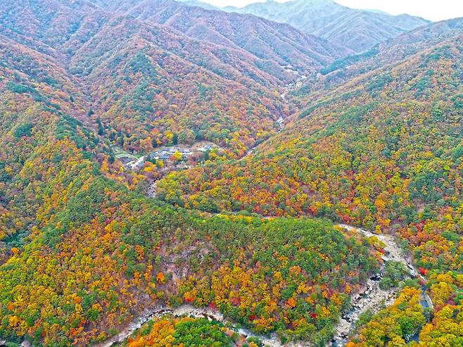 산청 대원사계곡길