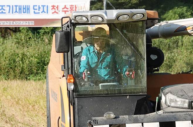 [창녕=뉴시스] 안지율 기자 = 성낙인 군수가 지난해 가을 농번기 영농 현장을 방문해 일손을 돕고 있다 (사진=창녕군 제공) 2024.10.11. photo@newsis.com *재판매 및 DB 금지