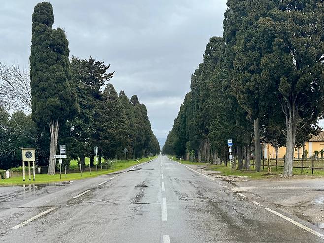 볼게리 초입의 ‘비알레 데이 치프레시(Viale dei Cipressi)’. ‘사이프러스 나무의 길’이라는 뜻으로 이탈리아의 노벨문학상 수상 시인인 조수에 카르두치의 시 ‘다반티 산 귀도(Davanti San Giudo)’에 등장하면서 유명해졌다./박진배