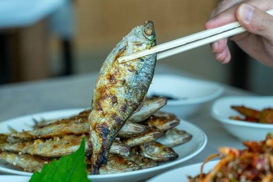 전어구이. 중앙포토