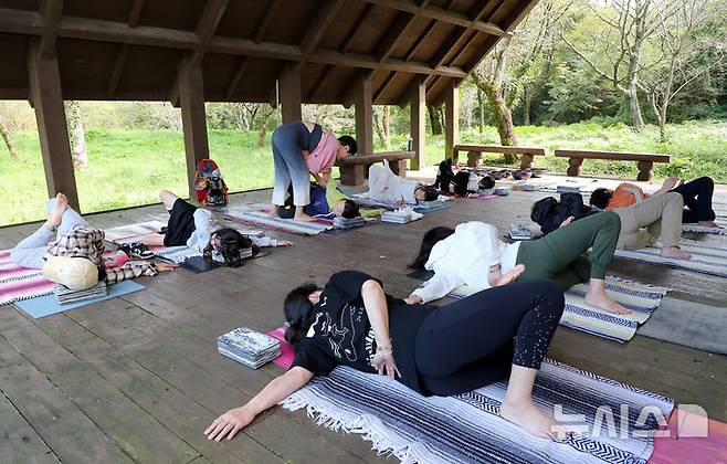 [제주=뉴시스] 우장호 기자 = 도시 숲의 중요성을 알리기 위한 제1회 나무포럼 이틀째인 12일 제주시 한라생태숲 원형광장 일원에서 요가 프로그램과 명상 체험이 열리고 있다. 올해 처음 열린 나무포럼은 제주도가 주최하고 제주국제컨벤션센터가 주관하며, 서부지방산림청이 후원하며, '도시와 숲, 그리고 사람'을 대주제로 총 3개 세션으로 진행됐다. 2024.10.12. woo1223@newsis.com