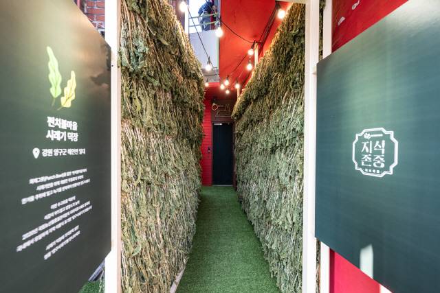 ▲ 서울 성수동 ‘양구오감빌리지’ 팝업스토어 전경, 팝업스토어에는 두타연과 해안 야생화공원 등 군의 주요 관광지를 재현한 공간과 양구 과수원 콘셉트의 루프탑 공간이 마련됐다.