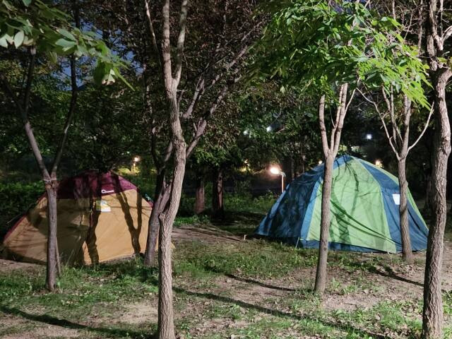 지난 11일 인천 계양구 경인아라뱃길 산책로에 텐트 여러개가 불법 설치돼 있다. 황남건기자