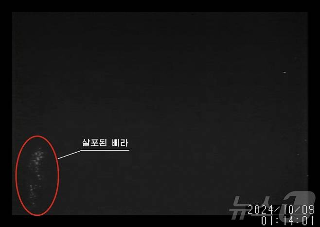 (평양 노동신문=뉴스1) = 북한 노동당 기관지 노동신문은 12일 "가장 적대적이며 악의적인 불량배 국가인 대한민국이 조선민주주의인민공화국(북한)의 수도 평양시에 무인기를 침투시키는 엄중한 정치군사적도발행위를 감행했다＂고 보도했다. [국내에서만 사용가능. 재배포 금지. DB 금지. For Use Only in the Republic of Korea. Redistribution Prohibited] rodongphoto@news1.kr