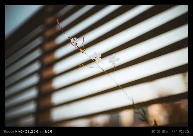 74ef8077b7821df223ee8494459c706c312e16124411daeda8213a66f12f32378388716f2c8787693f44b4ab01adc37781498c9d6b