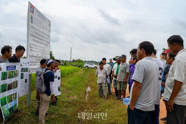 막히마우 마을 주민들은 벼 패키지 사업으로 쌀 생산량 등 성과가 나오자 적극적으로 현장 교육에 참여하고 있다. ⓒ데일리안 배군득 기자