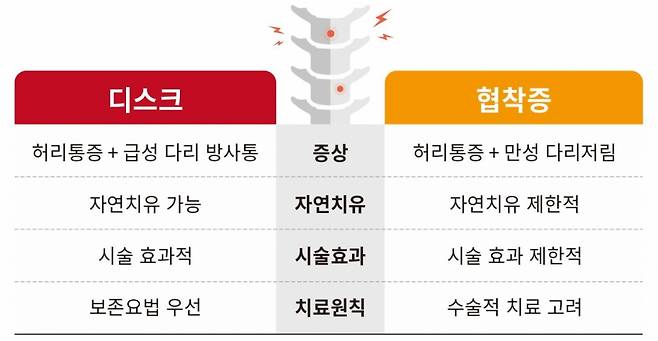 흔히 '디스크'라 부르는 추간판탈출증과 척추관협착증의 차이점. /그림제공=강동경희대병원