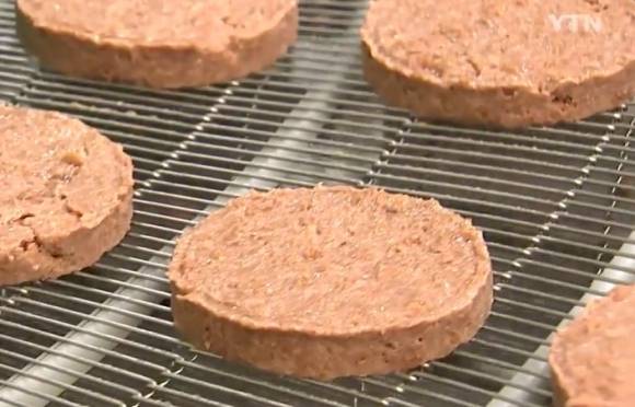 콩고기 자료사진. [YTN 뉴스]