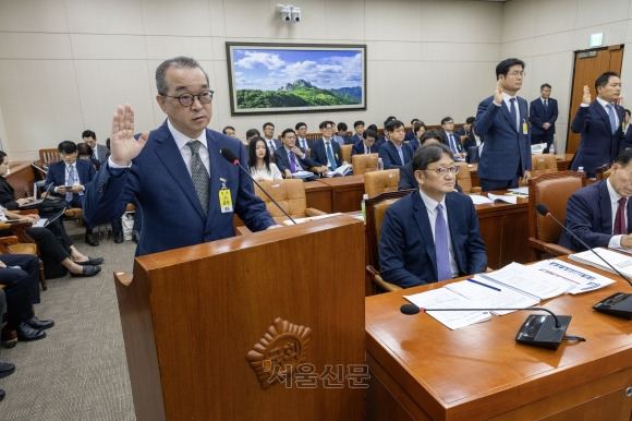 정인섭 한화오션 거제사업장 사장이 15일 오후 서울 여의도 국회에서 열린 환경노동위원회의 경제사회노동위원회, 중앙노동위원회, 최저임금위원회 등에 대한 국정감사에서 선서하고 있다. 정 사장 뒤로 뉴진스 멤버 하니 팜이 참고인 자격으로 앉아있다. 2024.10.15 국회사진기자단