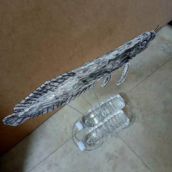 만들기) 은색 아로와나!