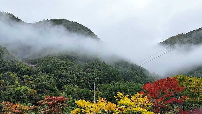 사진 제공:연합뉴스