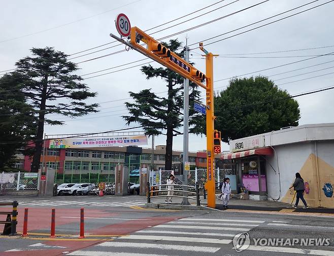 강릉시 스마트 횡단보도 [강릉시 제공. 재판매 및 DB 금지]