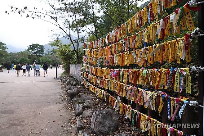 설악산국립공원 입구에 걸린 산악회 리본 (속초=연합뉴스) 류호준 기자 = 16일 오후 강원 속초시 설악산국립공원 입구에 산악회 리본들이 걸려 있다. 2024.10.16 ryu@yna.co.kr