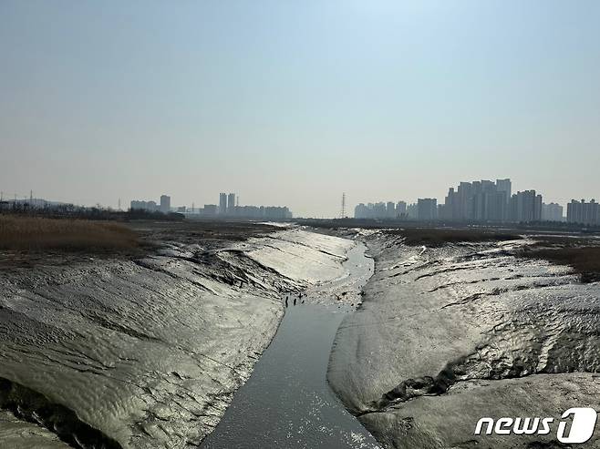 인천시 남동구 소래습지 생태공원.2024.3.13 ⓒ News1 박소영 기자