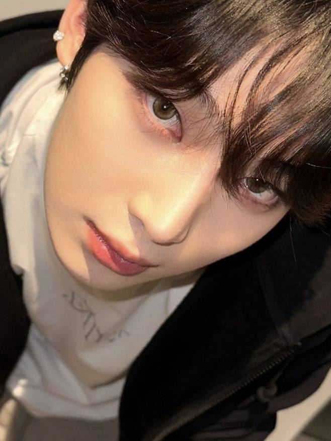 젬아워 제공