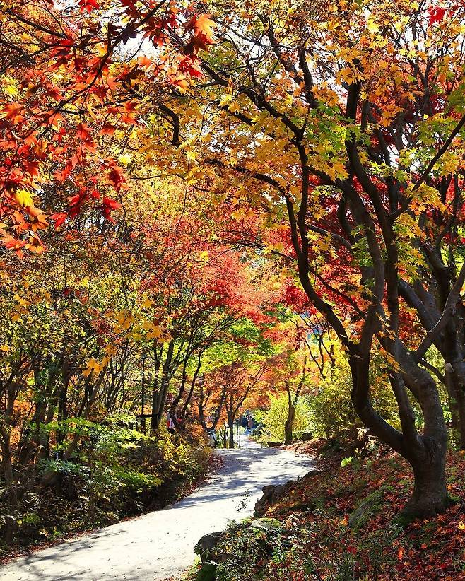 아침고요수목원