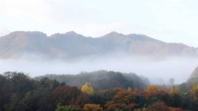 사진 제공:연합뉴스