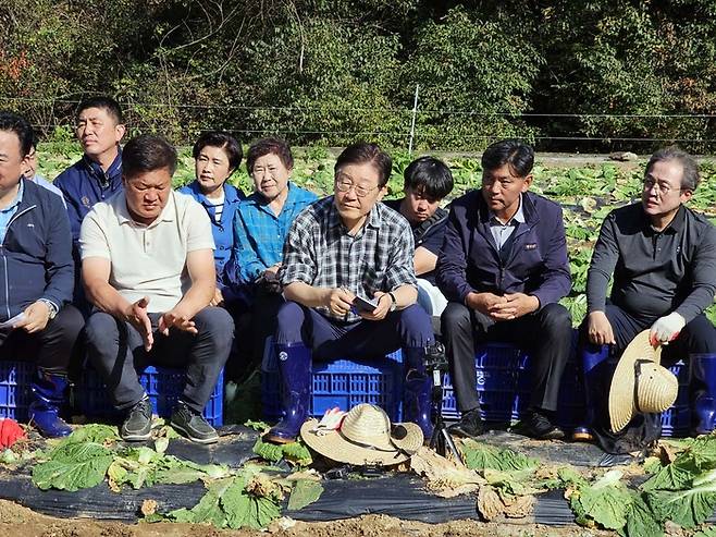 17일 오후 더불어민주당 이재명 대표가 강원 평창군 방림면 배추밭을 찾아 농민들의 애로사항을 듣고 있다. [사진 출처 = 연합뉴스]