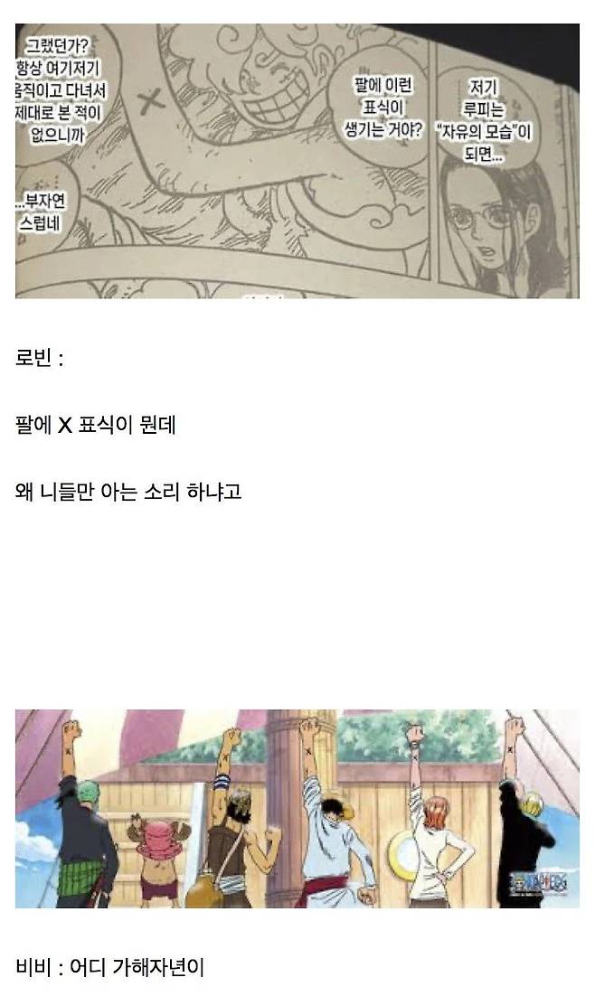 원피스) 뭔데 왜 니들만 아는 소리 하는건데