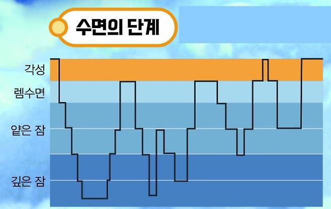 보통 한번 자면 수면의 주기가 4~5번 반복된다. 어린이과학동아 제공