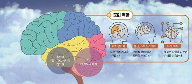 꿈의 역할. 게티이미지뱅크, 어린이과학동아 제공