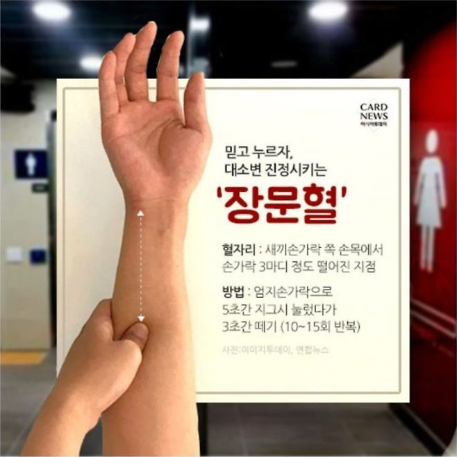 IMG_6511.png (더러움주의)똥 잘 싸는 사람과 똥 잘 못싸는 사람의 동상이몽..jpg