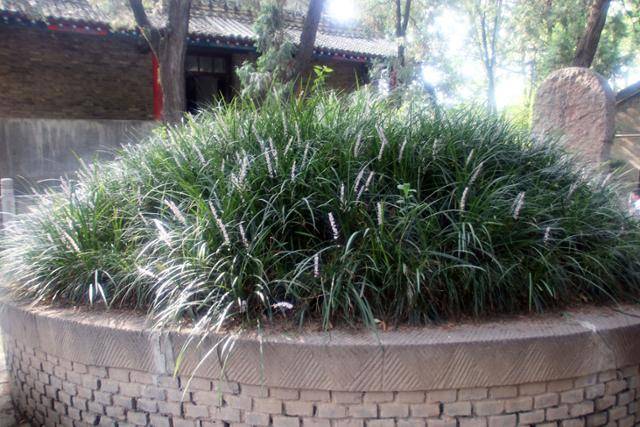 오방원 제갈량묘의 의관총. ⓒ최종명