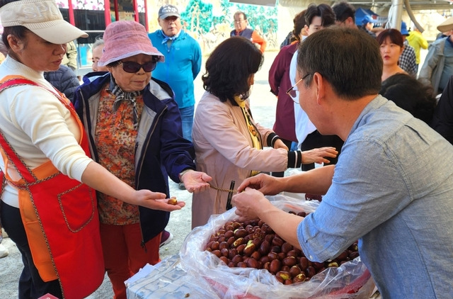 충북 보은에서 열린 대추축제 현장. 연합뉴스