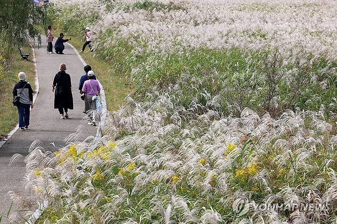 가을산책 [연합뉴스 자료사진]