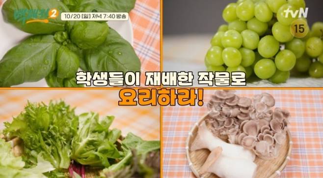 tvN ‘백패커2’