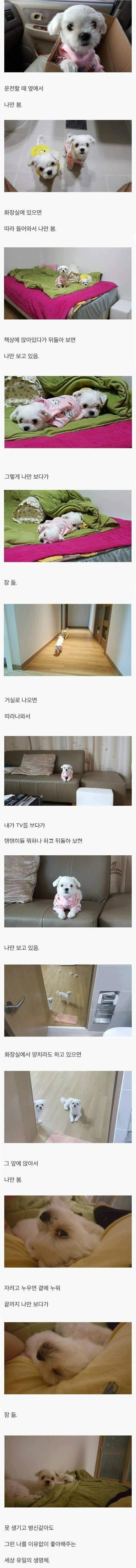 1000057617.jpg 우리를 아낌 없이 좋아해주는 한 존재...jpg