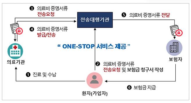 실손보험 청구 간소화 개요. 자료 보험개발원