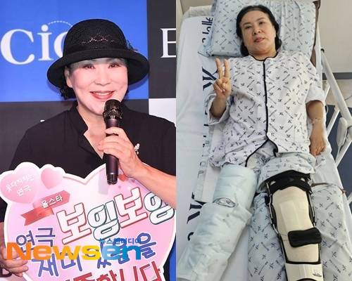 곽정희/뉴스엔DB, 한지일 소셜 계정 캡처