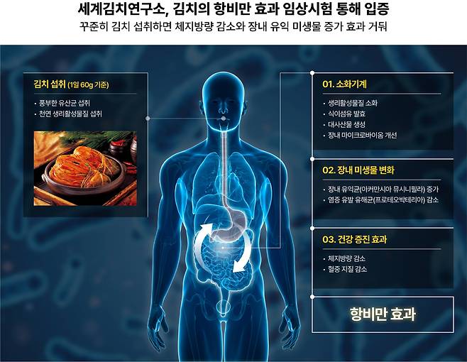 세계김치연구소는 3년에 걸쳐 김치의 항비만 효과에 대한 연구를 진행했다./세계김치연구소