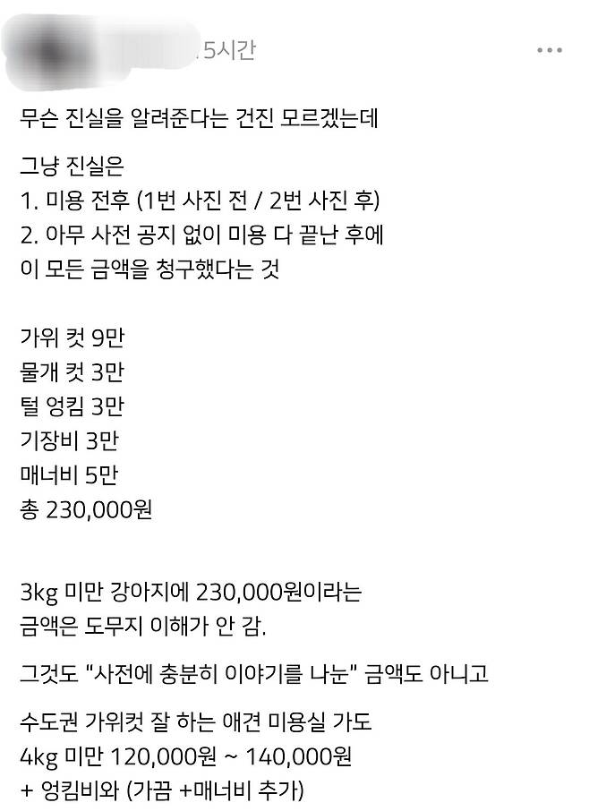 Internet_20241022_131919_1.jpeg 인스타에서 시끌시끌한 애견미용비 논란