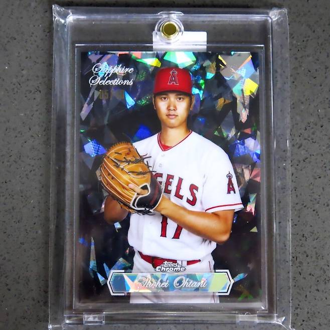 IMG_20240517_234504_681.jpg 오타니 데뷔 시즌 부터 수집한 스포츠카드 컬렉션