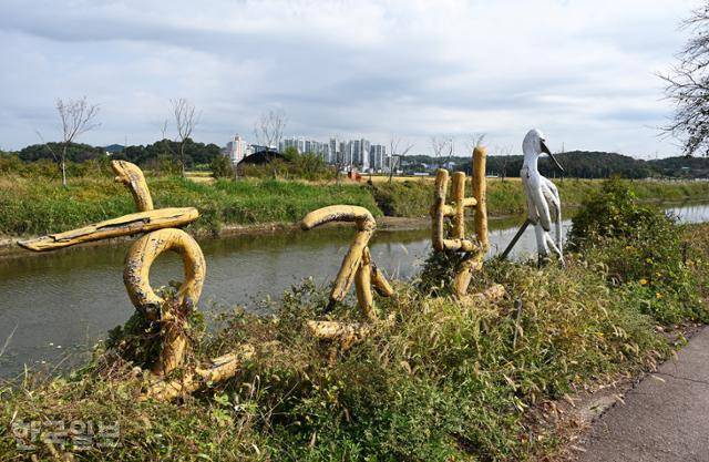 시흥 연꽃테마파크와 잇닿아 있는 호조벌. 조선시대 간척으로 확보한 농경지다.