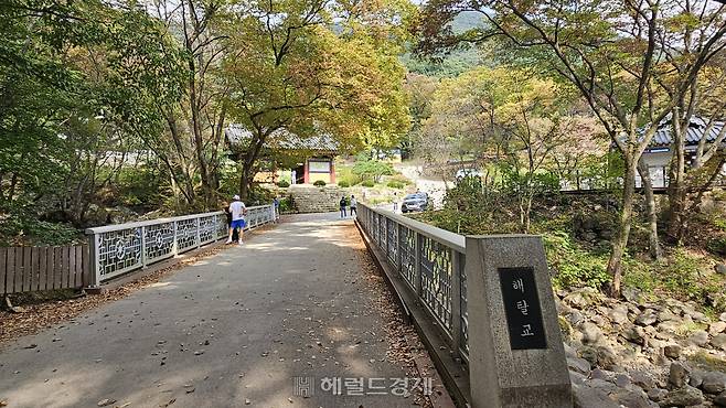해탈교