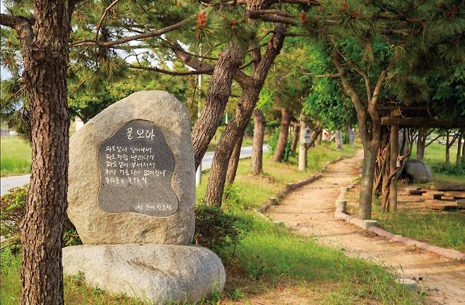 전남 장흥군 안양면 여다지 해변에 만들어진 ‘한승원 문학 산책길’에서는 작가의 시를 적은 시비 30여 개를 만날 수 있다. 장흥군 제공