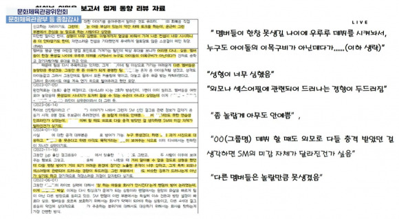 24일 국회 문화체육관광위원회 국정감사에서 공개된 하이브 내부 문건. 국회방송 중계화면 캡처