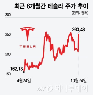 최근 6개월간 테슬라 주가 추이/그래픽=윤선정