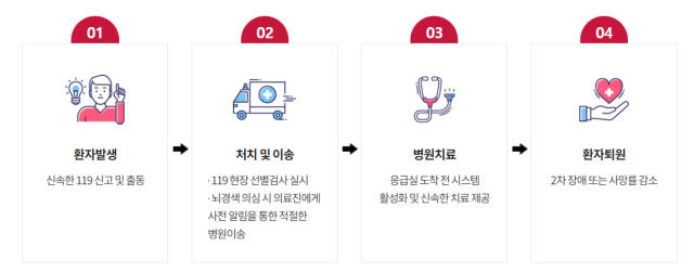 대구광역시의 Fastroke 사업 소개. 사진 제공=대구광역시 응급의료지원단