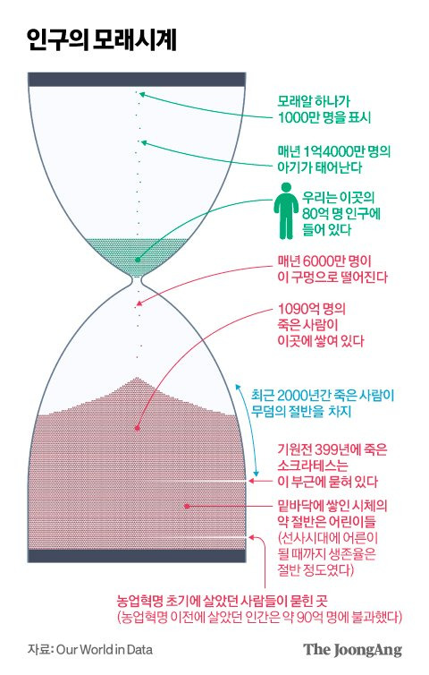 김영옥 기자