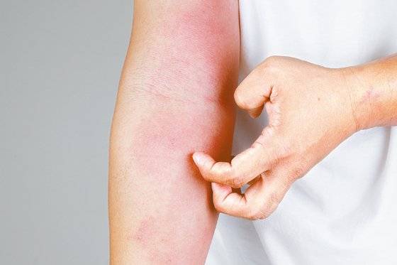 출처 GettyImagesBank