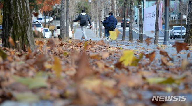 [전주=뉴시스] 김얼 기자 =  일조량이 감소하는 늦가을은 우울증 환자가 증가하는 계절이다. 날씨가 쌀쌀한 시기 유난히 우울감과 피곤함을 많이 느끼고 식욕까지 왕성해진다면, 일반 우울증과는 다른 '계절성 우울증'을 의심해 볼 만하다. 사진은 지난 2021년 11월 전북 전주시 전북대학교 교정.  2021.11.22. pmkeul@newsis.com