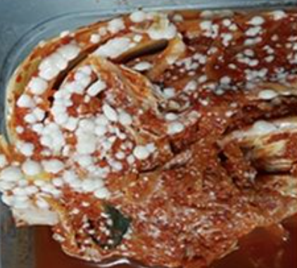 김치 표면에 생긴 흰색 알갱이는 먹어도 문제가 없다. 흰색 알갱이는 곰팡이로 착각하기 쉬운데 사실 효모의 일종이다. 정식 명칭은 ‘골마지’다. 김치나 간장, 고추장 등 수분이 많은 발효식품 표면에 생기는 흰색 막이다. 효모와 산소가 반응하면서 만들어진다. 식품안전정보원