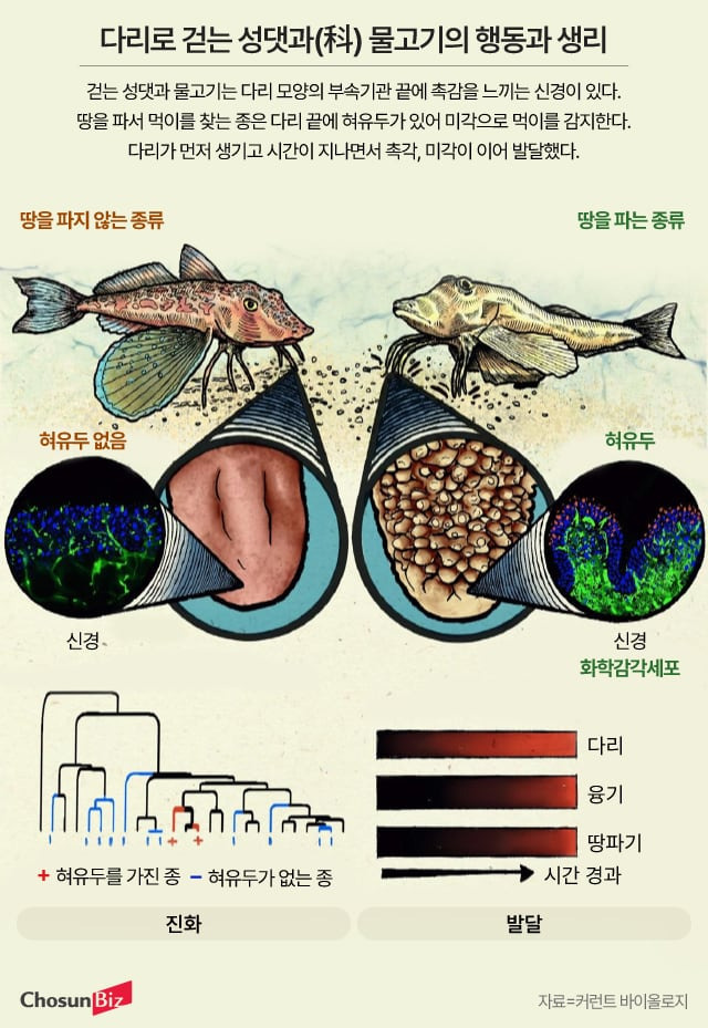 그래픽=정서희