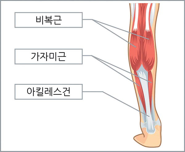 게티이미지코리아