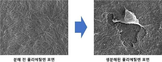 폴리에틸렌 분해 전 표면과 분해 후 표면 비교(한국과학기술연구원 제공)