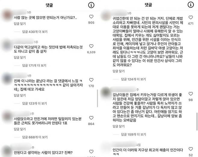 정류장 내 온열의자에 앉아있는 고양이들의 모습을 두고 누리꾼들 사이에서 갑론을박이 벌어졌다. [사진출처=SNS 갈무리]